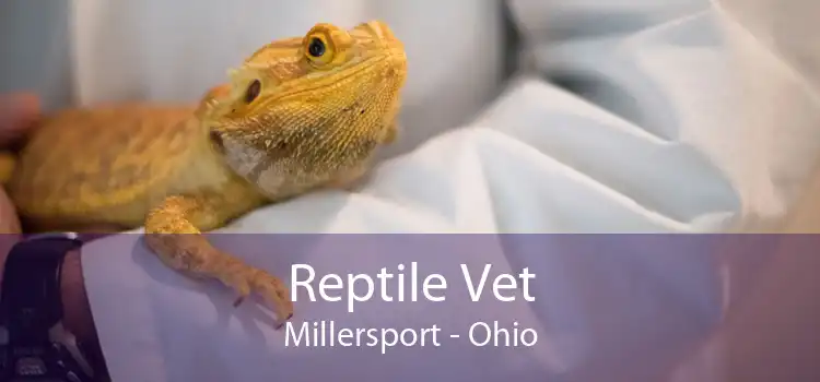 Reptile Vet Millersport - Ohio