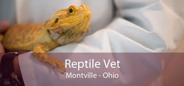 Reptile Vet Montville - Ohio