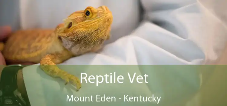 Reptile Vet Mount Eden - Kentucky