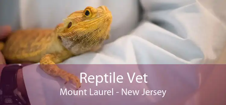 Reptile Vet Mount Laurel - New Jersey