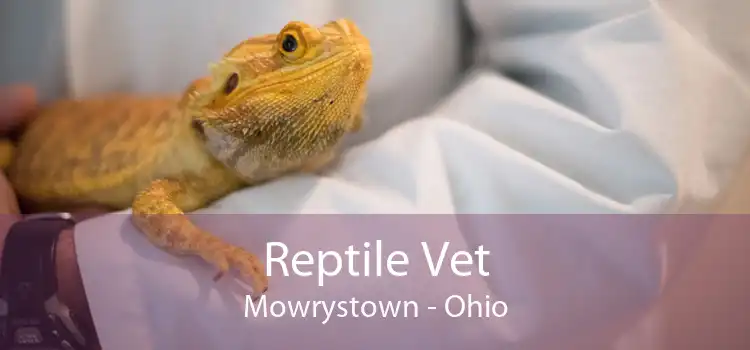 Reptile Vet Mowrystown - Ohio