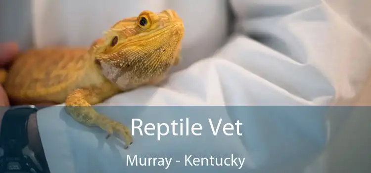 Reptile Vet Murray - Kentucky