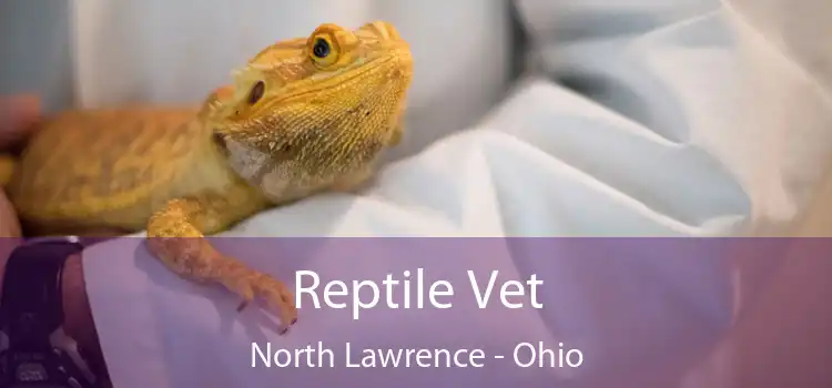 Reptile Vet North Lawrence - Ohio