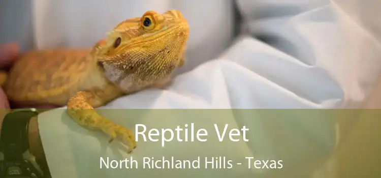 Reptile Vet North Richland Hills - Texas