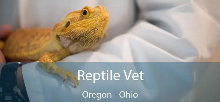 Reptile Vet Oregon - Ohio