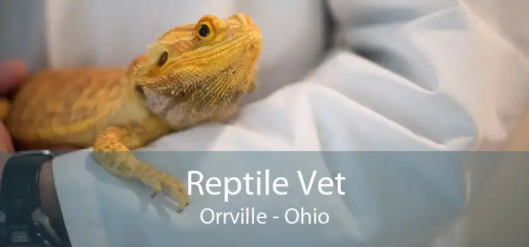 Reptile Vet Orrville - Ohio