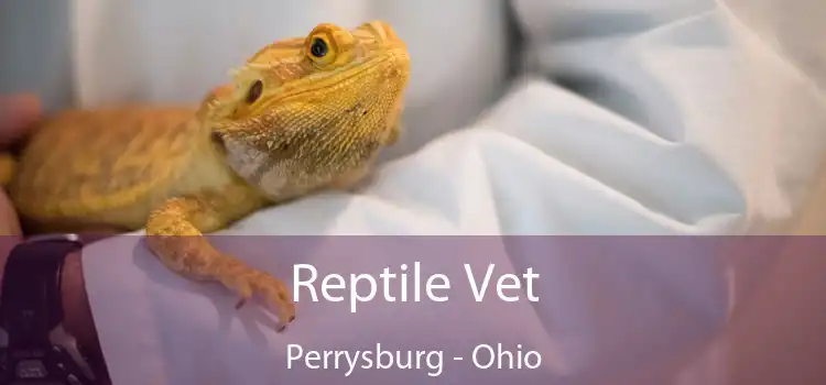 Reptile Vet Perrysburg - Ohio