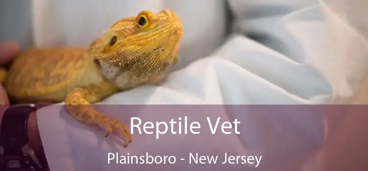 Reptile Vet Plainsboro - New Jersey