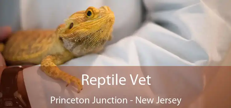 Reptile Vet Princeton Junction - New Jersey