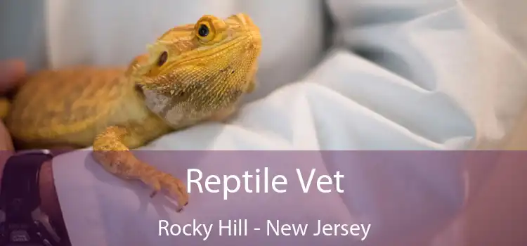 Reptile Vet Rocky Hill - New Jersey