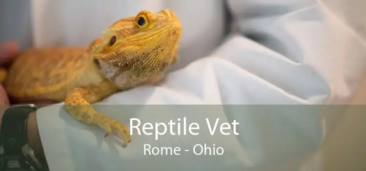 Reptile Vet Rome - Ohio