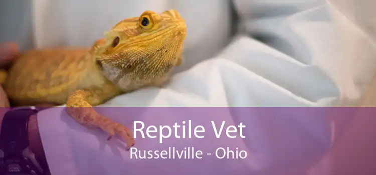Reptile Vet Russellville - Ohio