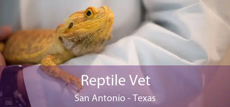 Reptile Vet San Antonio - Texas