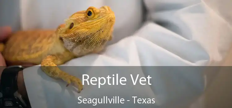 Reptile Vet Seagullville - Texas