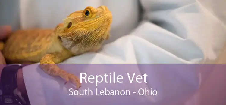 Reptile Vet South Lebanon - Ohio