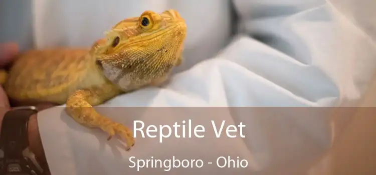 Reptile Vet Springboro - Ohio