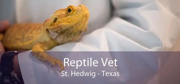 Reptile Vet St. Hedwig - Texas
