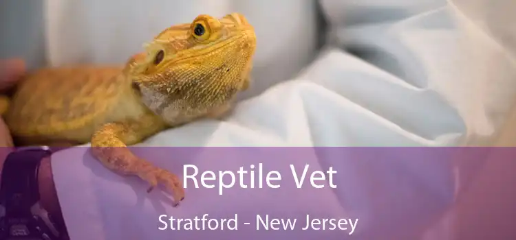 Reptile Vet Stratford - New Jersey