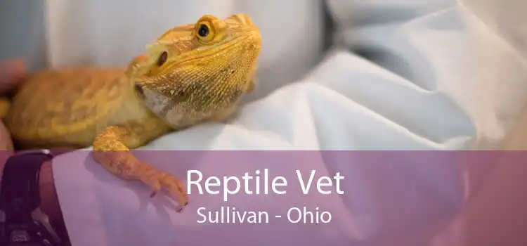 Reptile Vet Sullivan - Ohio