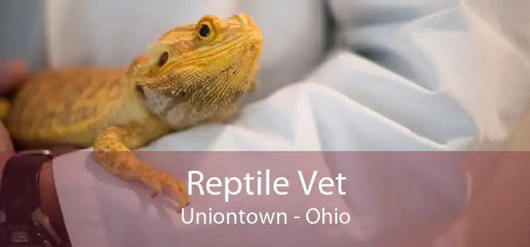 Reptile Vet Uniontown - Ohio