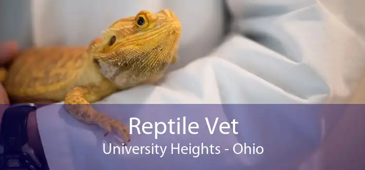 Reptile Vet University Heights - Ohio