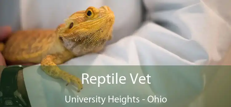 Reptile Vet University Heights - Ohio