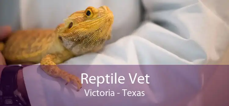 Reptile Vet Victoria - Texas