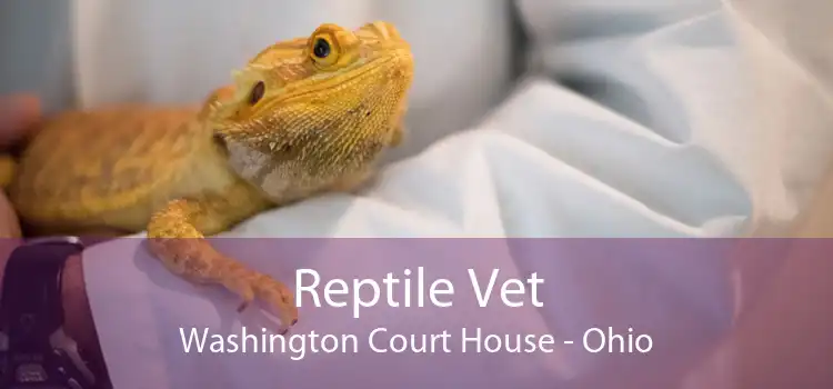 Reptile Vet Washington Court House - Ohio