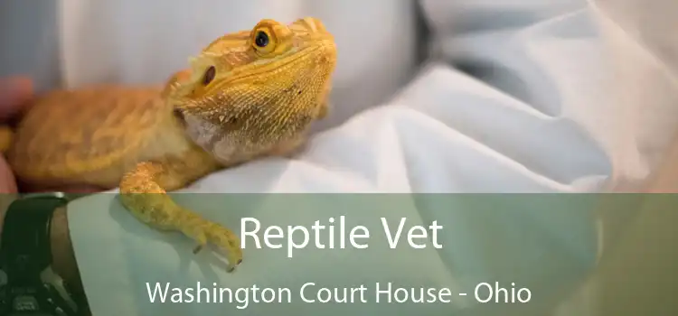 Reptile Vet Washington Court House - Ohio