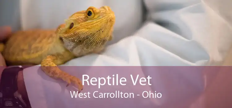 Reptile Vet West Carrollton - Ohio