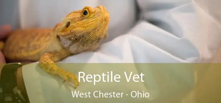 Reptile Vet West Chester - Ohio