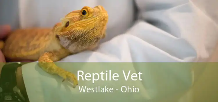 Reptile Vet Westlake - Ohio