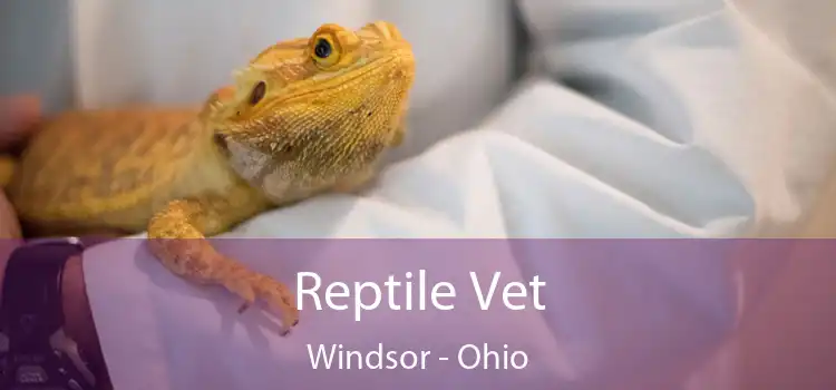 Reptile Vet Windsor - Ohio