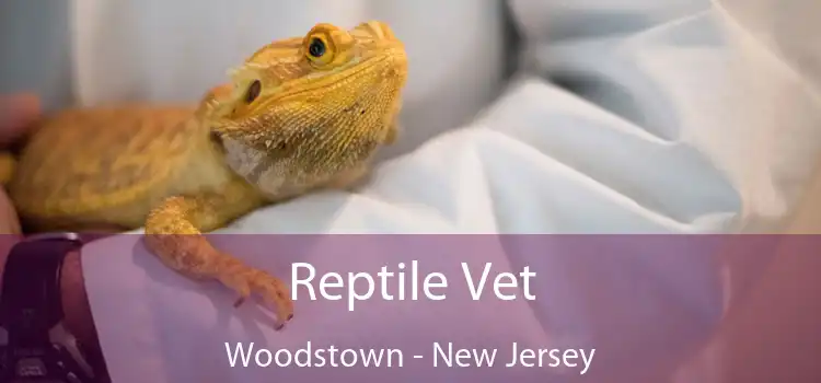 Reptile Vet Woodstown - New Jersey