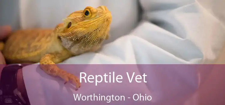 Reptile Vet Worthington - Ohio