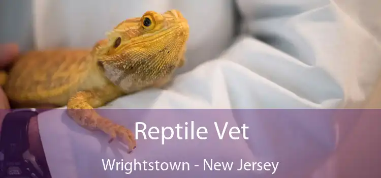 Reptile Vet Wrightstown - New Jersey