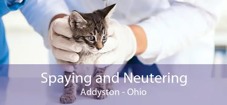Spaying and Neutering Addyston - Ohio