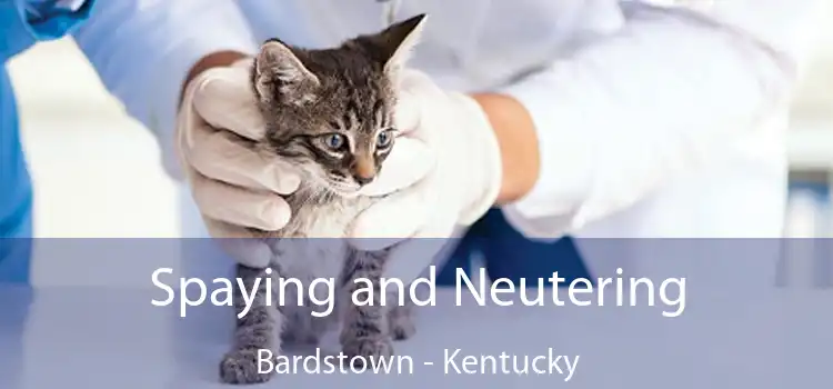 Spaying and Neutering Bardstown - Kentucky