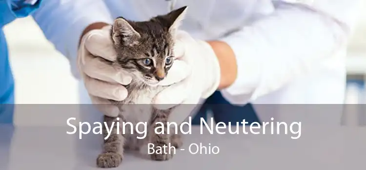 Spaying and Neutering Bath - Ohio