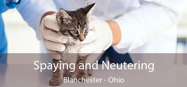 Spaying and Neutering Blanchester - Ohio