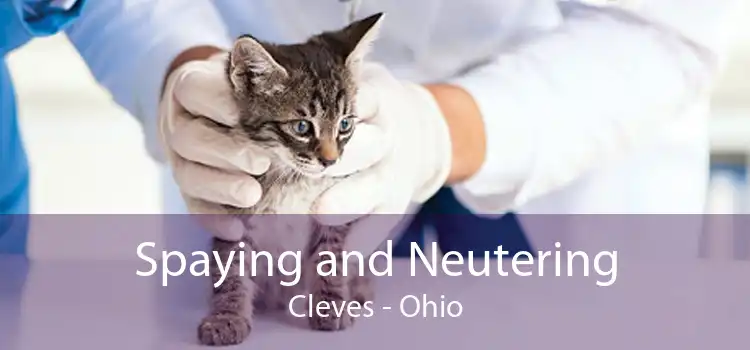 Spaying and Neutering Cleves - Ohio