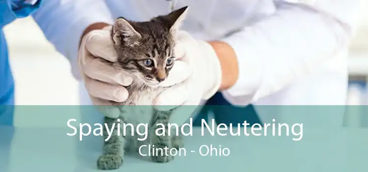 Spaying and Neutering Clinton - Ohio