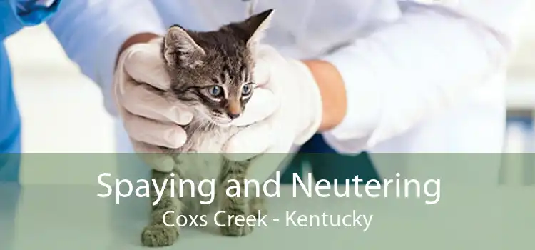 Spaying and Neutering Coxs Creek - Kentucky