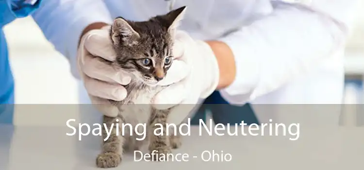 Spaying and Neutering Defiance - Ohio