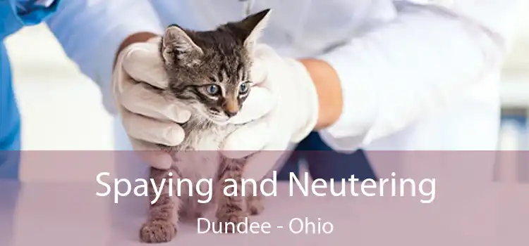 Spaying and Neutering Dundee - Ohio