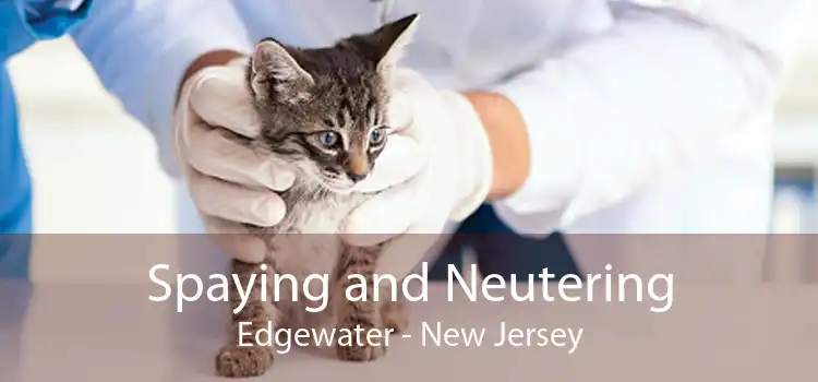 Spaying and Neutering Edgewater - New Jersey