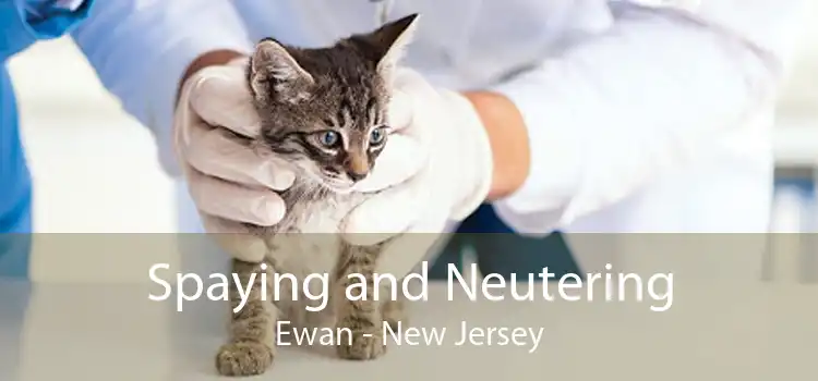 Spaying and Neutering Ewan - New Jersey