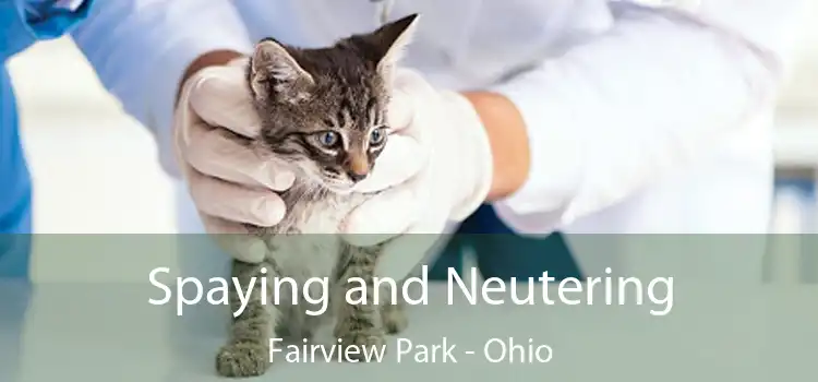 Spaying and Neutering Fairview Park - Ohio