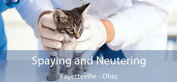 Spaying and Neutering Fayetteville - Ohio