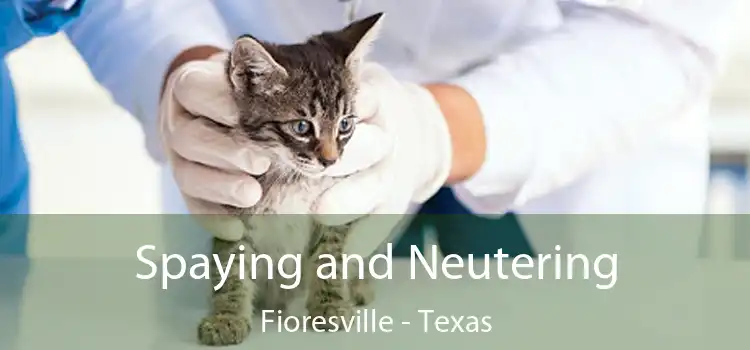 Spaying and Neutering Fioresville - Texas
